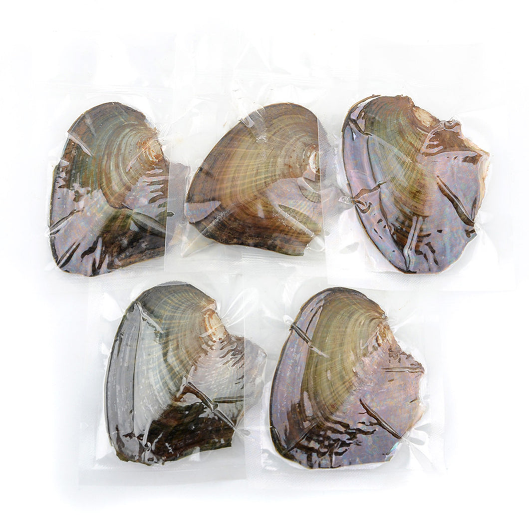 Oyster Tray